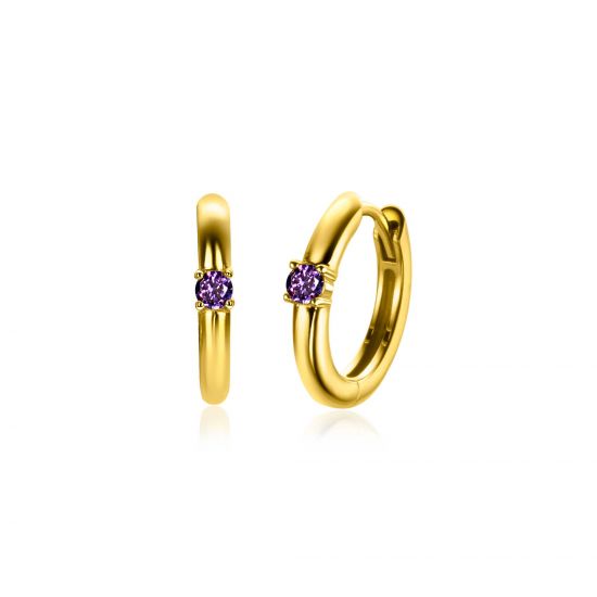 ZINZI zlv. oorringen gg.verg birthstones amethist cz