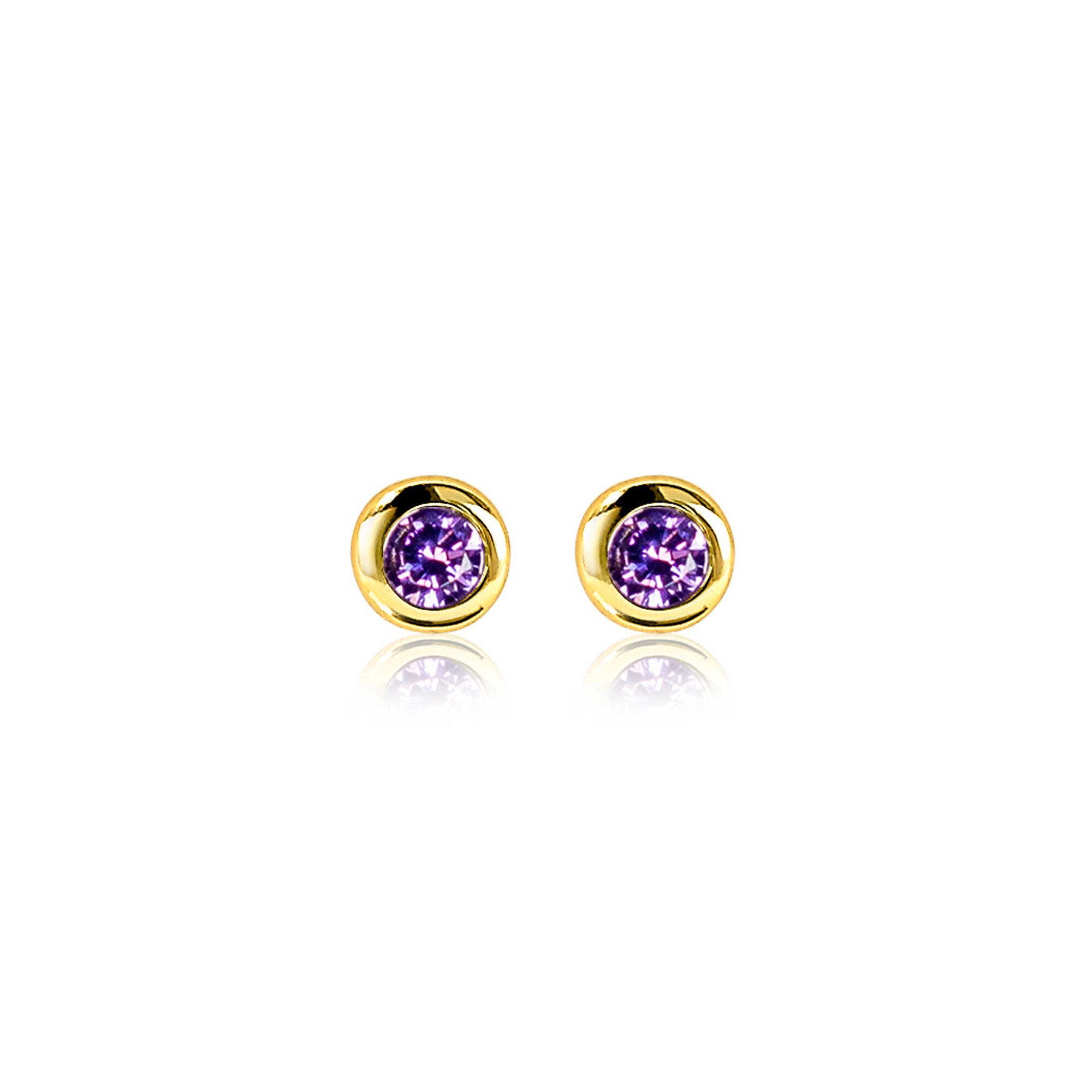 ZINZI zlv.oorknopjes gg.verg.birthstones amethist cz