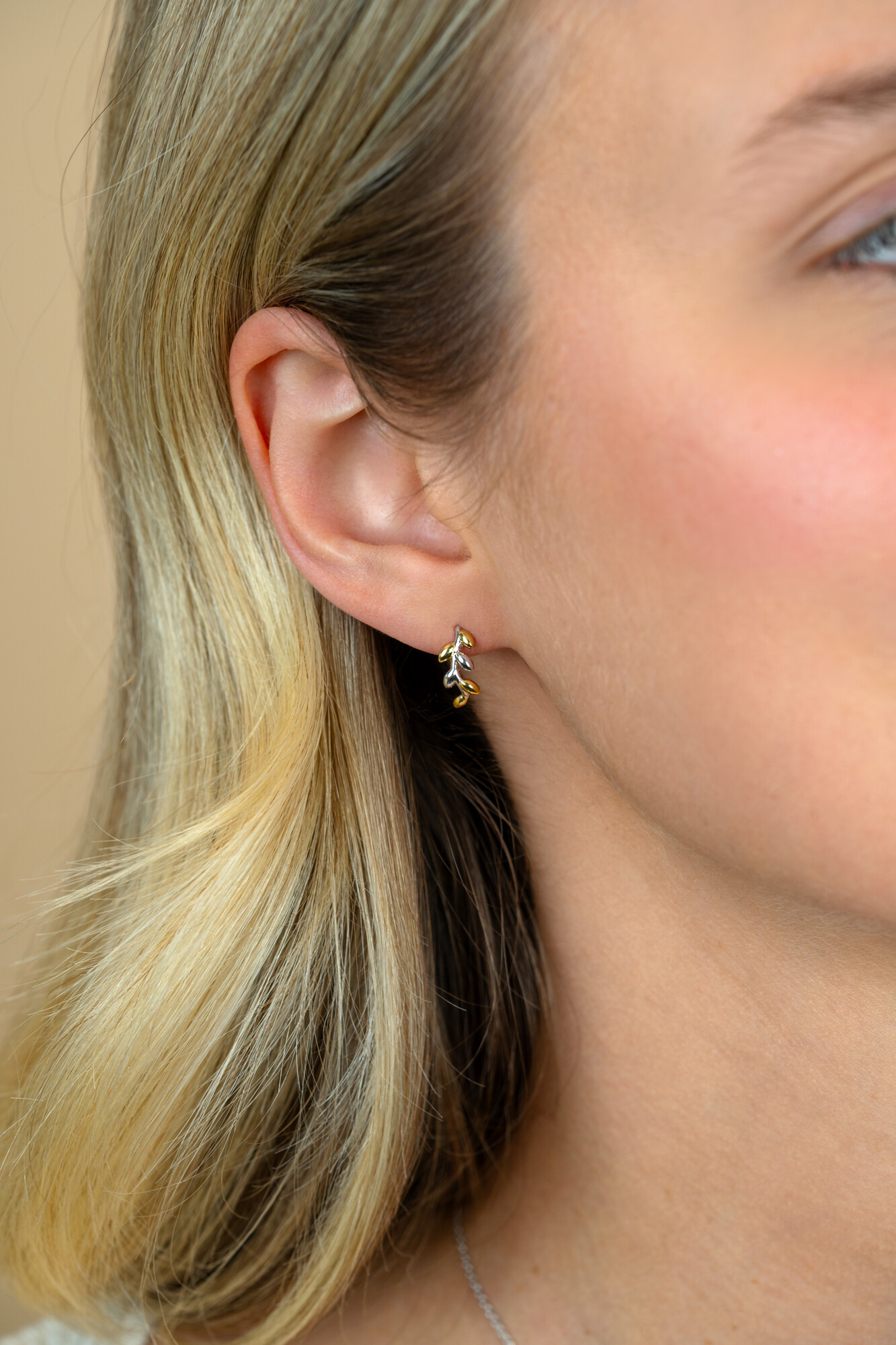 ZINZI zlv. oorsteker bicolor takje