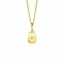 ZINZI GOLD hanger rechthoek plaatje zirc.ster zetting
