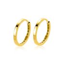 ZINZI GOLD klapcreolen glad 19x2mm