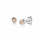 ZINZI zlv. oorknopjes birthstones citrien cz