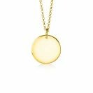 ZINZI zlv. hanger geel verguld rond plaatje 20mm