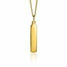 ZINZI silberner Anhänger 14K gelbvergoldet 32mm längliche Platte ZIH2213G