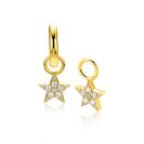 ZINZI zlv. oorbedels gg.verg.ster pave bezet zirc.