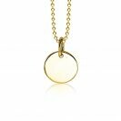ZINZI zlv. hanger geel verguld rond plaatje 12mm