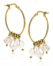 ZINZI silberne Ohrringe 14K gelb vergoldet 25mm  weiße Perlen ZIO2187G