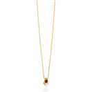 ZINZI zlv. fantasie collier gg.verg.bruine stenen
