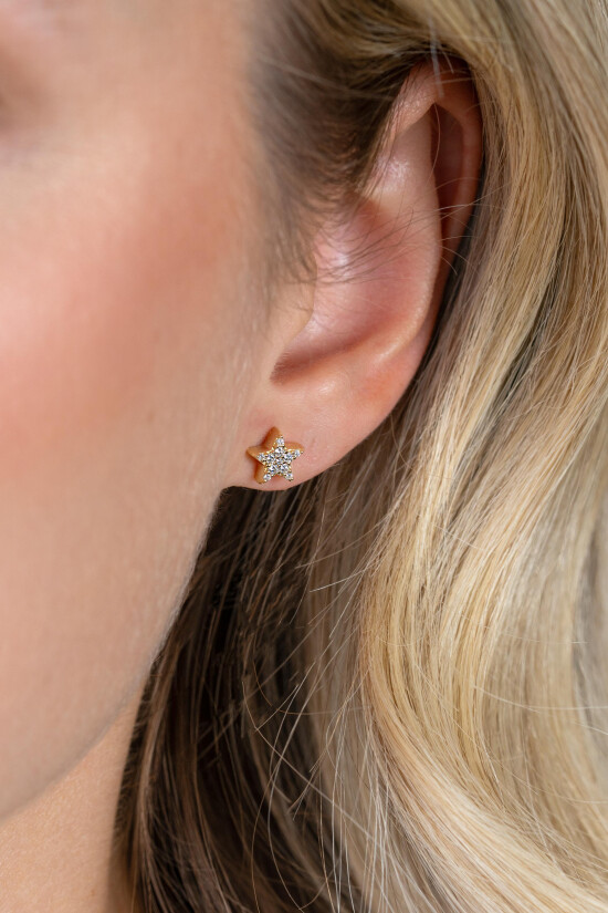 ZINZI zlv. oorkn. gg.verg.1xmaan 1xster zirc. pave