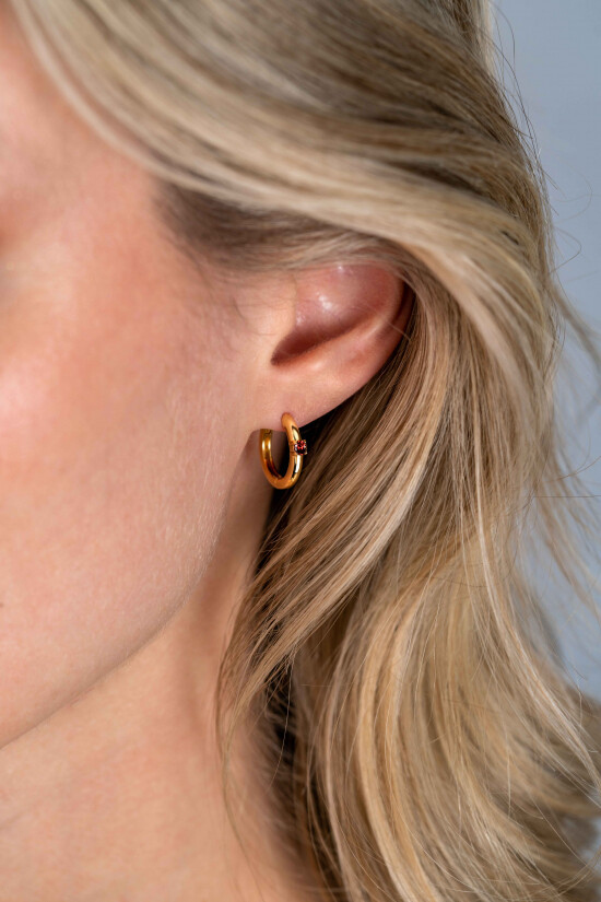 ZINZI zlv. oorringen gg.verg birthstones granaat cz