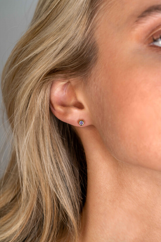 ZINZI zlv. oorkn.gg.verg.birthstones licht amethist cz