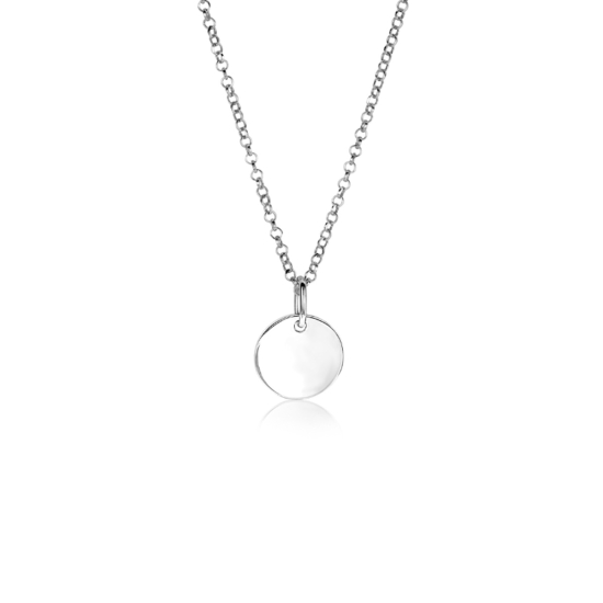 ZINZI zlv. hanger rond plaatje 12mm