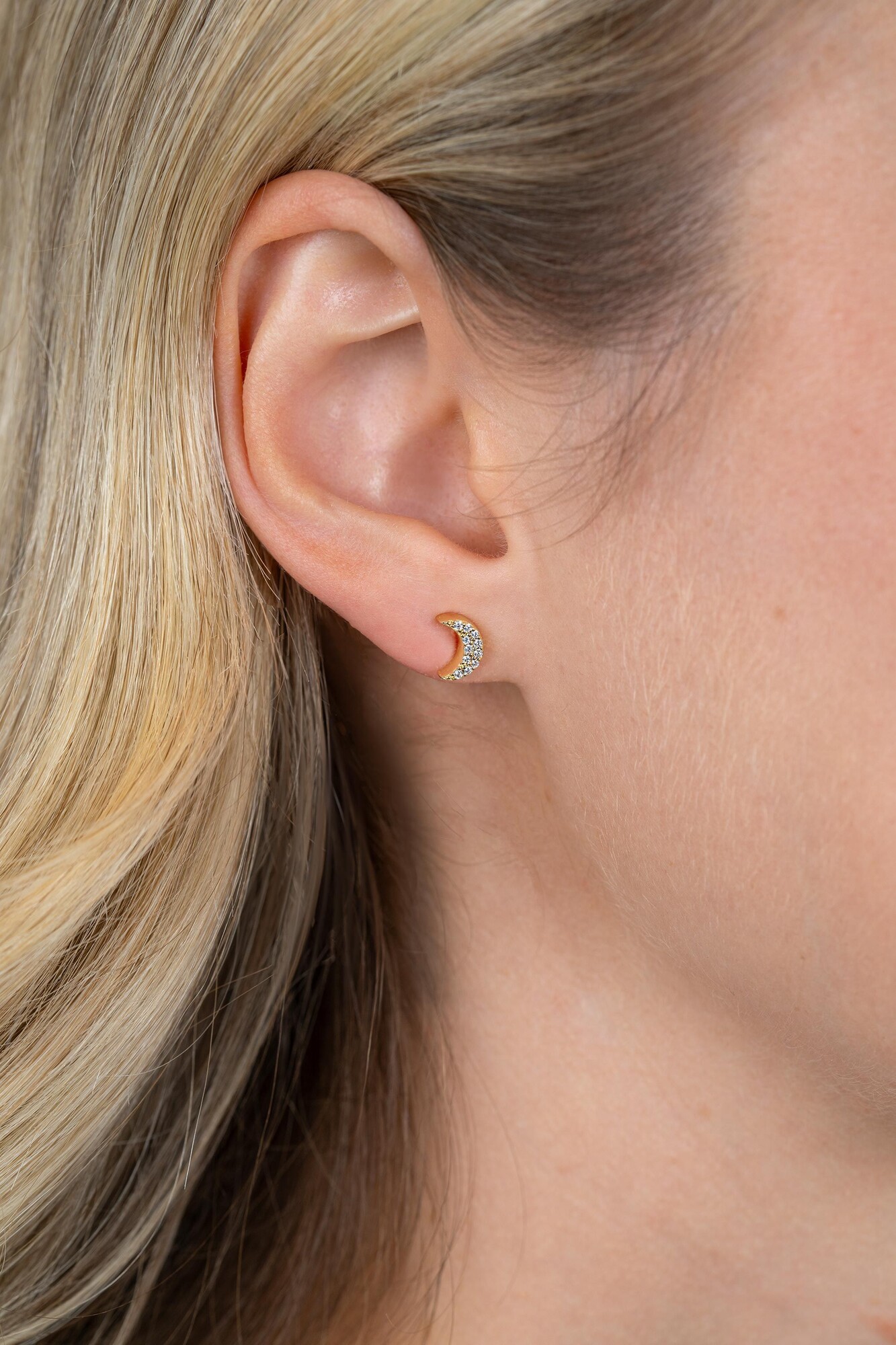 ZINZI zlv. oorkn. gg.verg.1xmaan 1xster zirc. pave