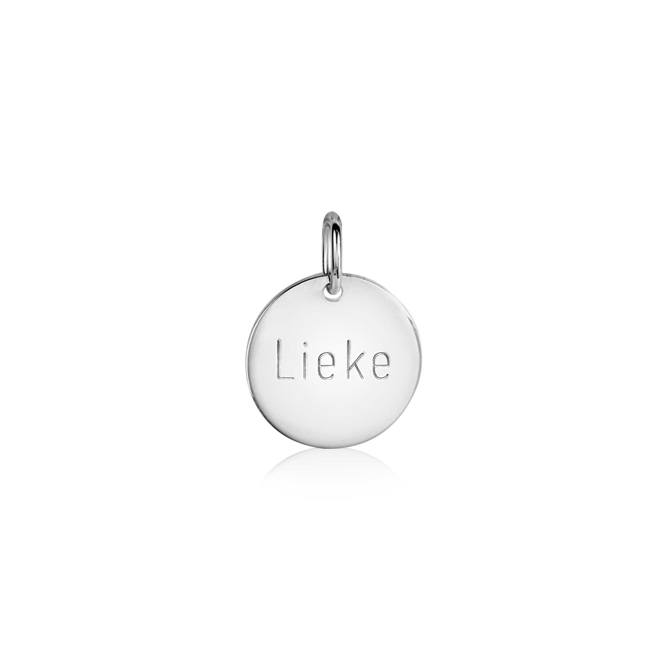 ZINZI zlv. hanger rond plaatje 12mm