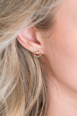 ZINZI silberne Ohrstecker 14K gelb vergoldet 8mm besetzt regenbogen ZIO2170