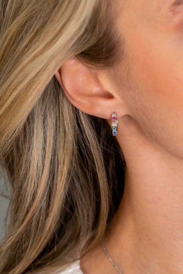ZINZI zlv. creolen 15x3mm rond regenboog zirc
